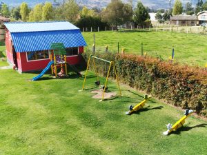 IMG_20231023_143507